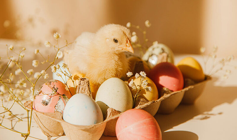 colorare le uova di Pasqua